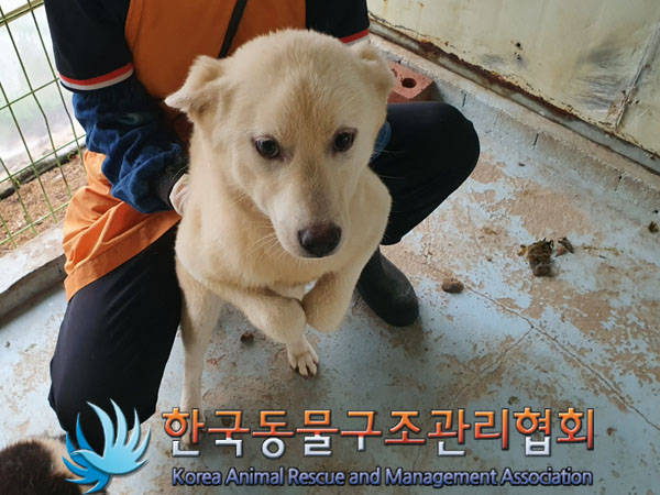 한국동물구조관리협회_441559202300504